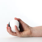 Mr Babache record juggling ball in hand