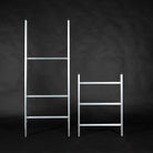 Ladder unassembled both pieces standing