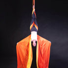 Phoenix rising silk action shot